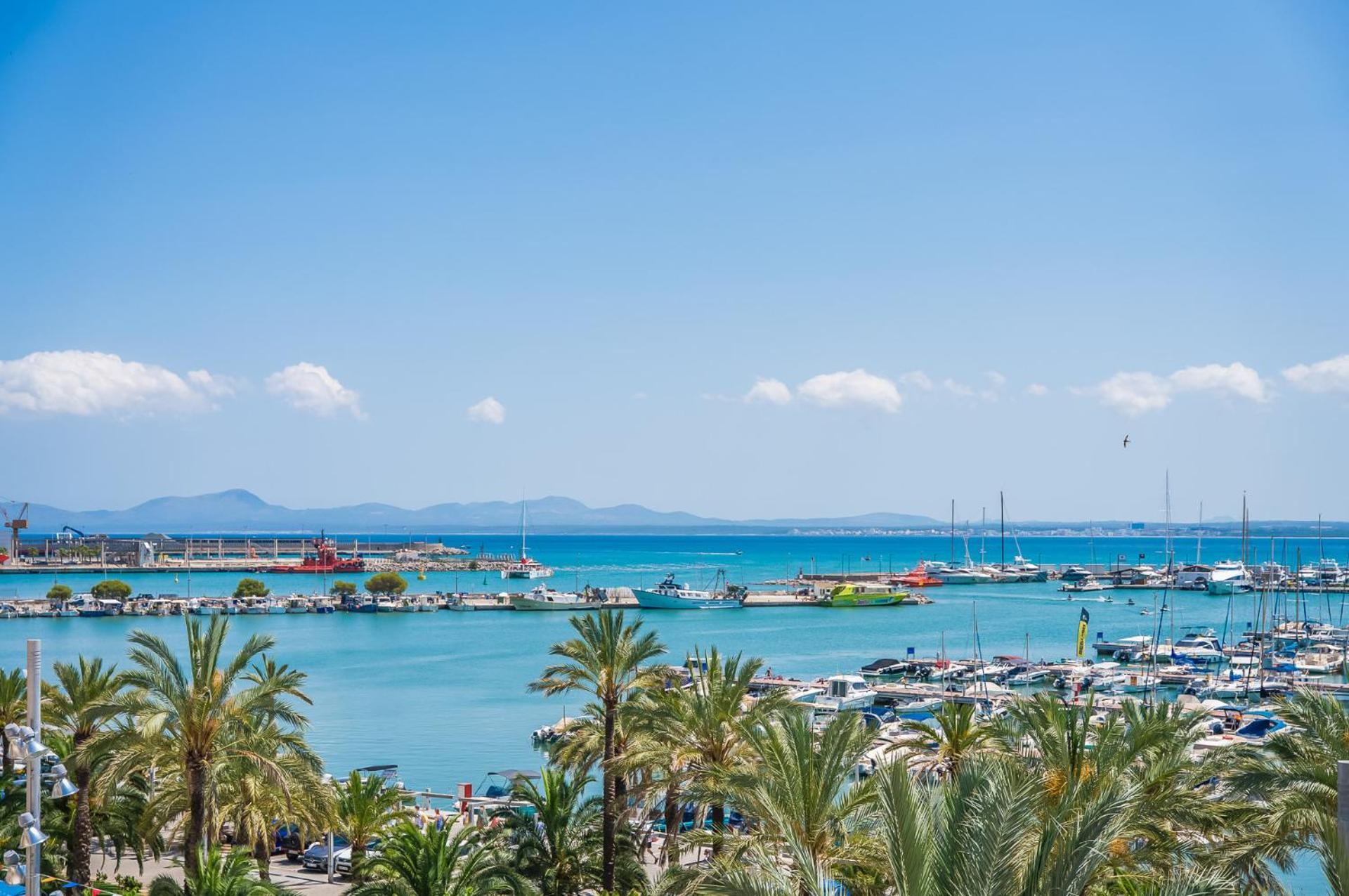 Ideal Mallorca - Blue Sky Apartment *